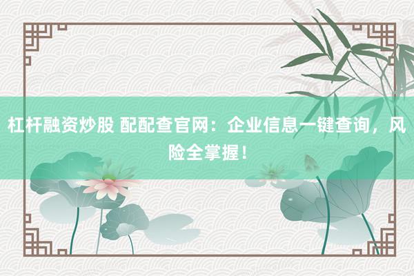 杠杆融资炒股 配配查官网：企业信息一键查询，风险全掌握！
