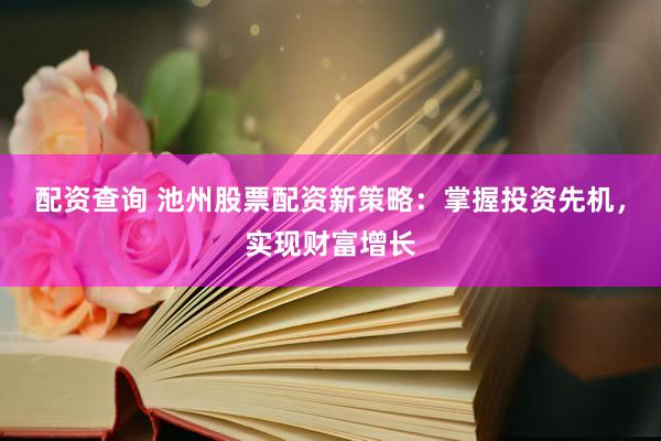 配资查询 池州股票配资新策略：掌握投资先机，实现财富增长
